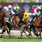 best horse to bet on melbourne cup 2021
